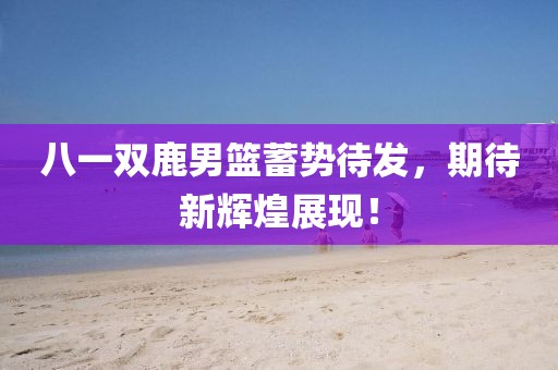 八一双鹿男篮蓄势待发，期待新辉煌展现！