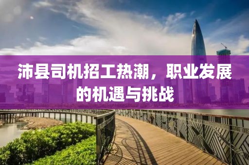 沛县司机招工热潮，职业发展的机遇与挑战