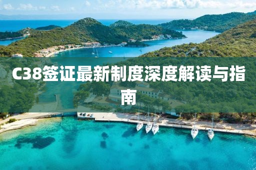 C38签证最新制度深度解读与指南