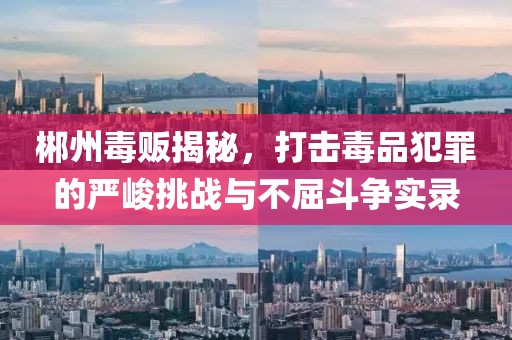 郴州毒贩揭秘，打击毒品犯罪的严峻挑战与不屈斗争实录