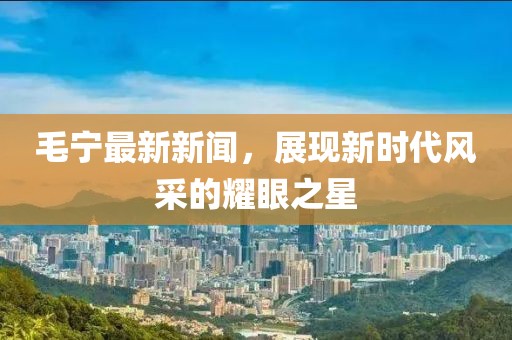 毛宁最新新闻，展现新时代风采的耀眼之星