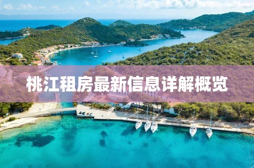 桃江租房最新信息详解概览