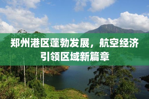 郑州港区蓬勃发展，航空经济引领区域新篇章