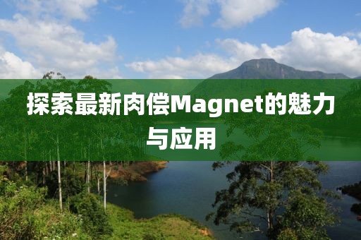 探索最新肉偿Magnet的魅力与应用