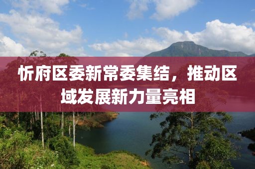 忻府区委新常委集结，推动区域发展新力量亮相