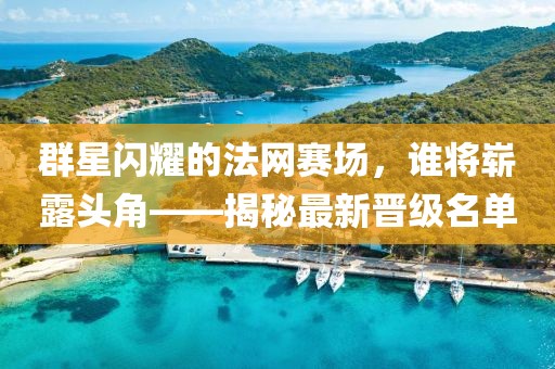 群星闪耀的法网赛场，谁将崭露头角——揭秘最新晋级名单