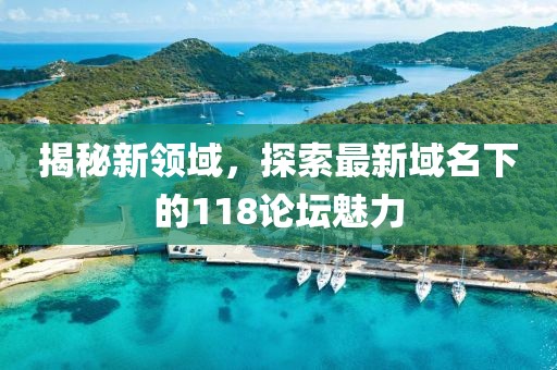 揭秘新领域，探索最新域名下的118论坛魅力