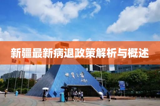 新疆最新病退政策解析与概述