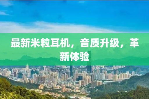 最新米粒耳机，音质升级，革新体验
