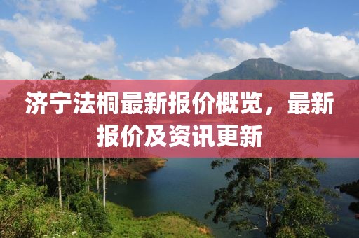 济宁法桐最新报价概览，最新报价及资讯更新