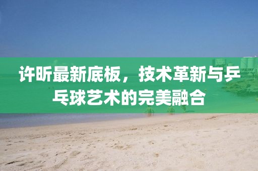 许昕最新底板，技术革新与乒乓球艺术的完美融合