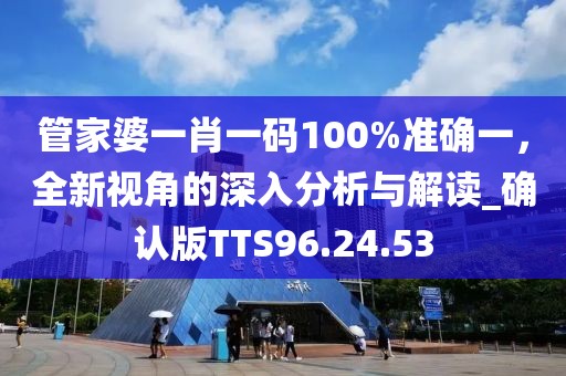 管家婆一肖一码100%准确一，全新视角的深入分析与解读_确认版TTS96.24.53