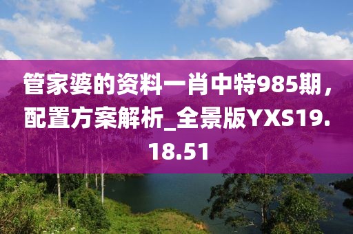 管家婆的资料一肖中特985期，配置方案解析_全景版YXS19.18.51