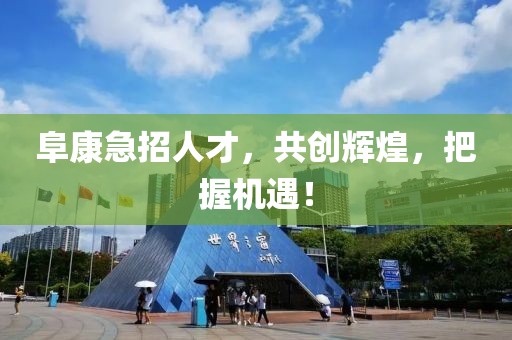 阜康急招人才，共创辉煌，把握机遇！
