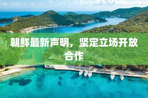 朝鲜最新声明，坚定立场开放合作