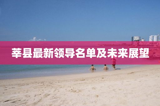 莘县最新领导名单及未来展望