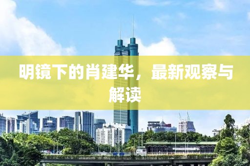 明镜下的肖建华，最新观察与解读