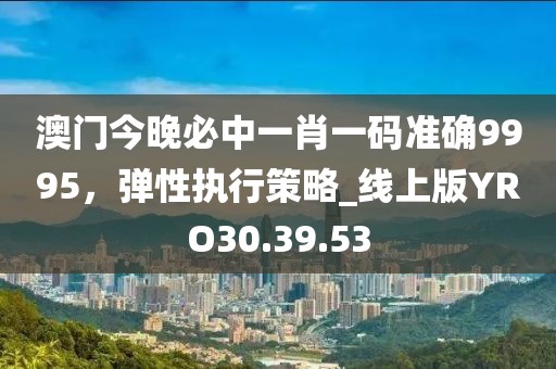 澳门今晚必中一肖一码准确9995，弹性执行策略_线上版YRO30.39.53