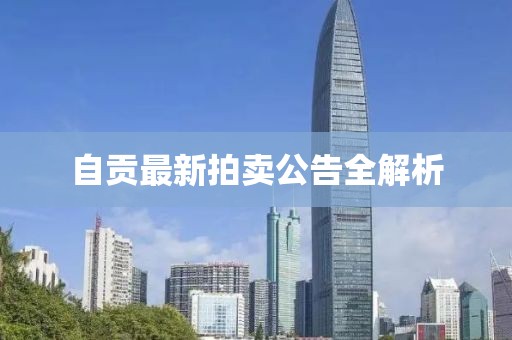 自贡最新拍卖公告全解析
