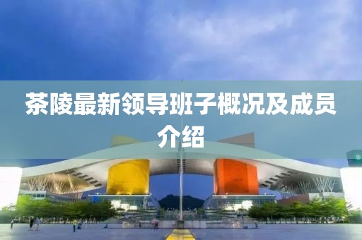 茶陵最新领导班子概况及成员介绍