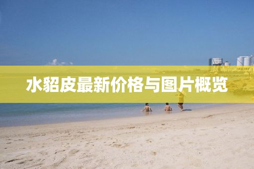 2024年12月 第27页