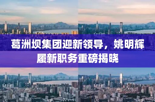 2024年12月 第24页