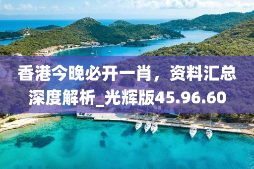 香港今晚必开一肖，资料汇总深度解析_光辉版45.96.60