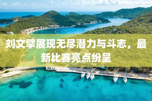 刘文擘展现无尽潜力与斗志，最新比赛亮点纷呈