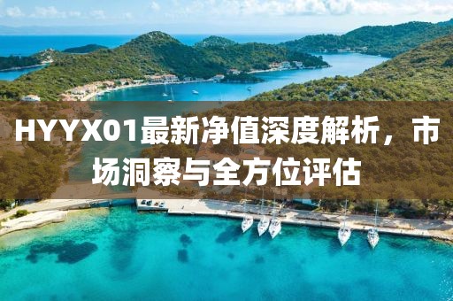 HYYX01最新净值深度解析，市场洞察与全方位评估