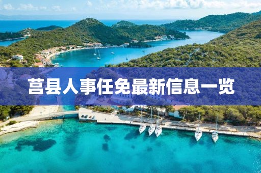 莒县人事任免最新信息一览