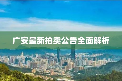 广安最新拍卖公告全面解析
