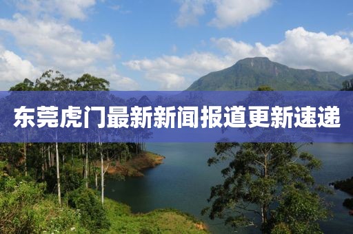东莞虎门最新新闻报道更新速递