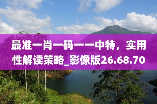 最准一肖一码一一中特，实用性解读策略_影像版26.68.70