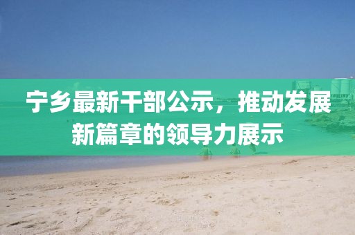 宁乡最新干部公示，推动发展新篇章的领导力展示