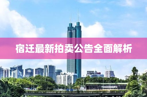 宿迁最新拍卖公告全面解析
