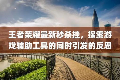 王者荣耀最新秒杀挂，探索游戏辅助工具的同时引发的反思