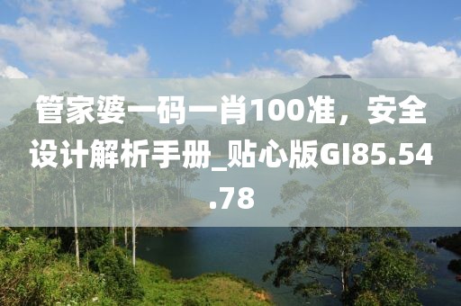 管家婆一码一肖100准，安全设计解析手册_贴心版GI85.54.78