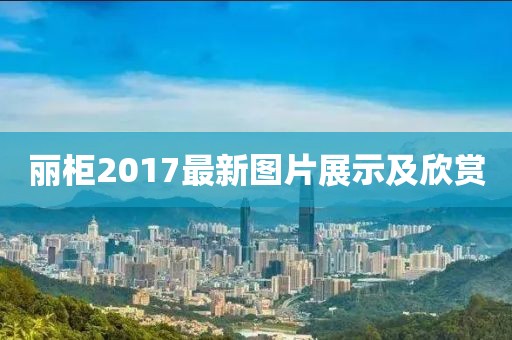 丽柜2017最新图片展示及欣赏