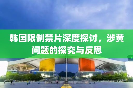 韩国限制禁片深度探讨，涉黄问题的探究与反思