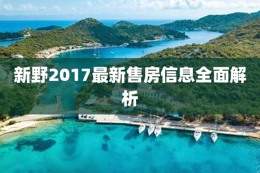 新野2017最新售房信息全面解析