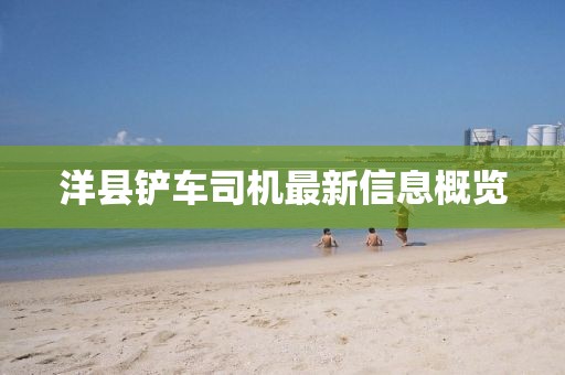 洋县铲车司机最新信息概览