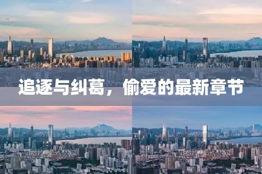 追逐与纠葛，偷爱的最新章节