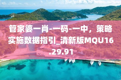 管家婆一肖-一码-一中，策略实施数据指引_清新版MQU16.29.91