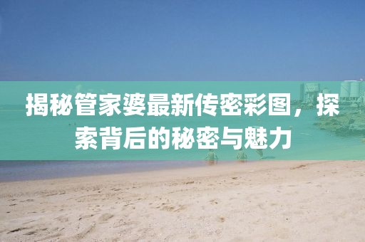 揭秘管家婆最新传密彩图，探索背后的秘密与魅力