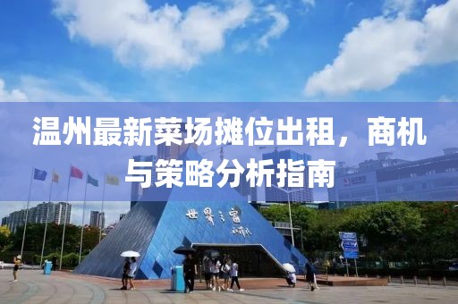 温州最新菜场摊位出租，商机与策略分析指南