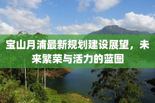 宝山月浦最新规划建设展望，未来繁荣与活力的蓝图