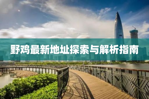 野鸡最新地址探索与解析指南