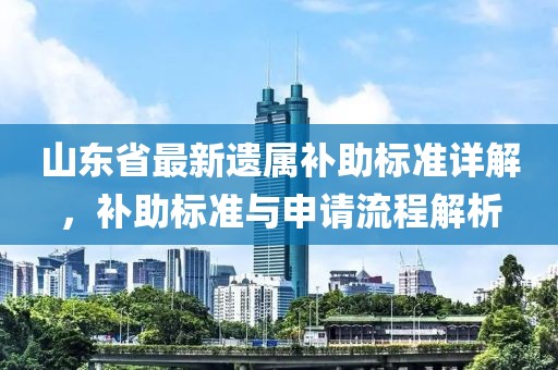 山东省最新遗属补助标准详解，补助标准与申请流程解析