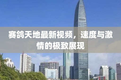 赛鸽天地最新视频，速度与激情的极致展现