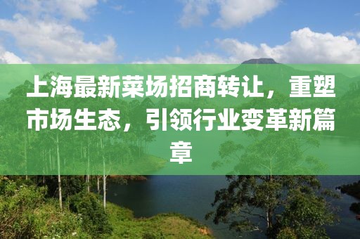 上海最新菜场招商转让，重塑市场生态，引领行业变革新篇章